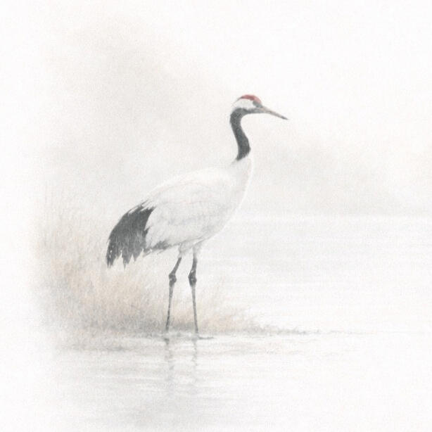 Works & Cycles – KAT Vienna A crane standing in still water, surrounded by soft light and silence